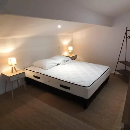 Duplex Parfaitement Situe Biscarrosse
